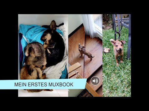Mein erstes MuxBook - Ein Book Creator Tutorial für Kinder