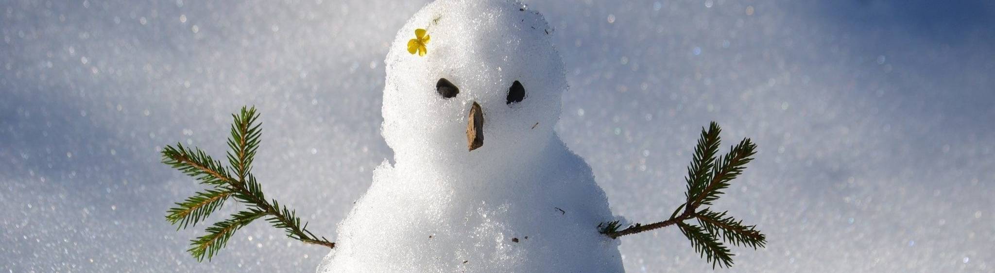 Ein Schneemann